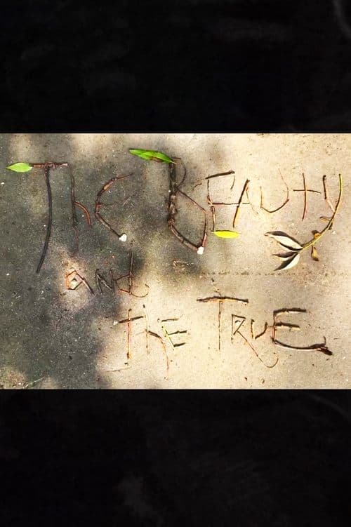 Постер: The Beauty and the True