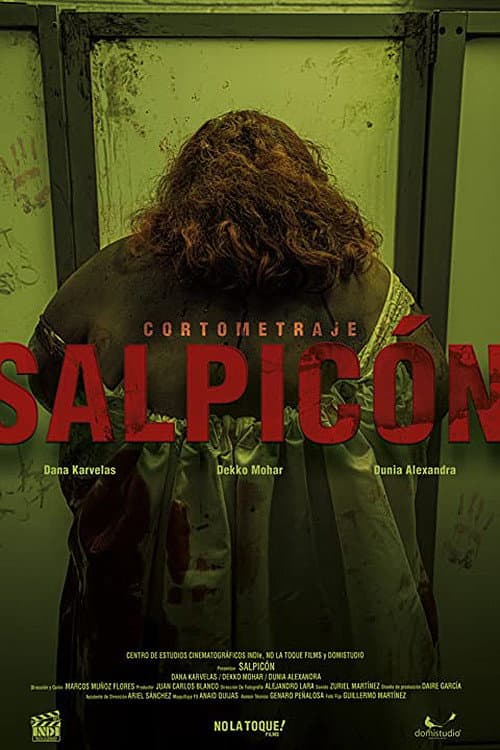 Постер: Salpicón