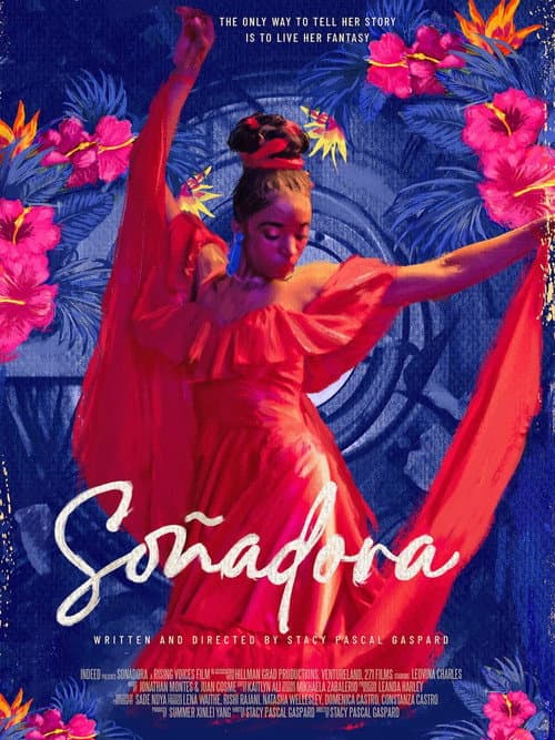 Постер: Soñadora