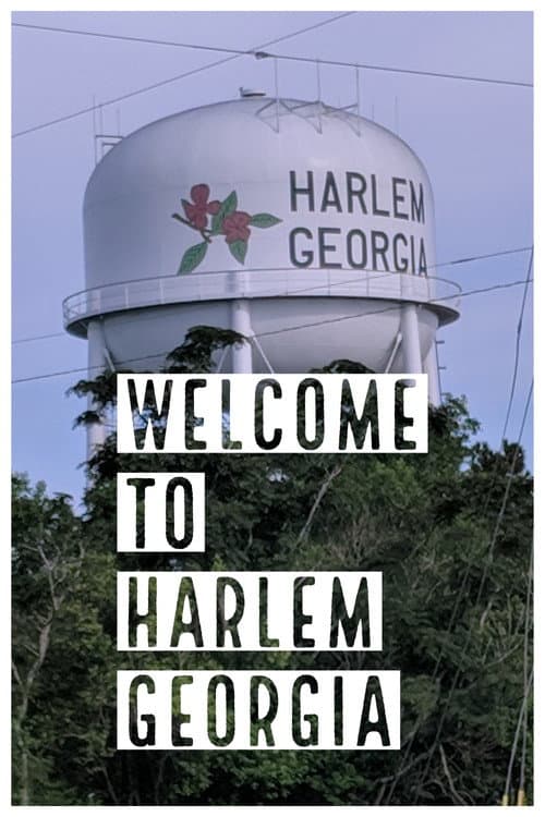 Постер: Welcome to Harlem, Georgia