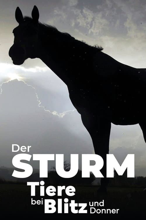 Постер: Der Sturm - Tiere bei Blitz und Donner