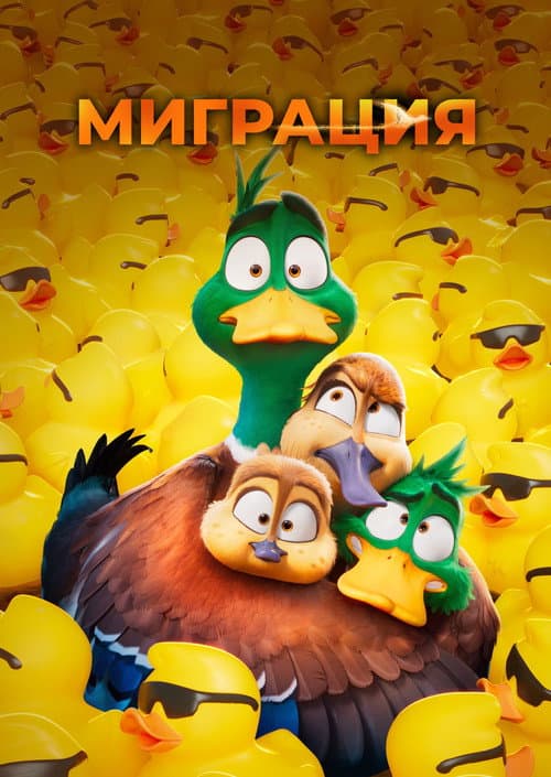 Постер 8