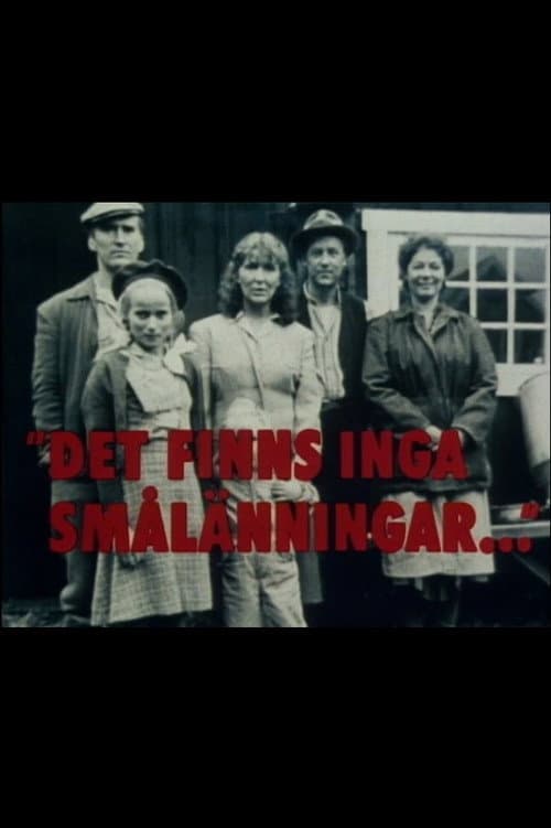 Постер: Det finns inga smålänningar