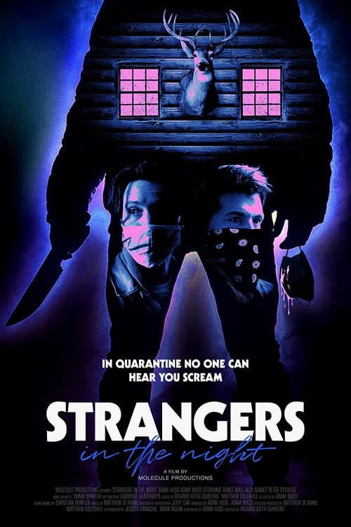 Постер: Strangers in the Night