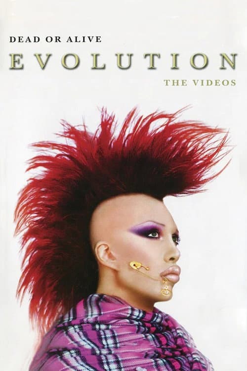 Постер: Dead Or Alive: Evolution - The Videos