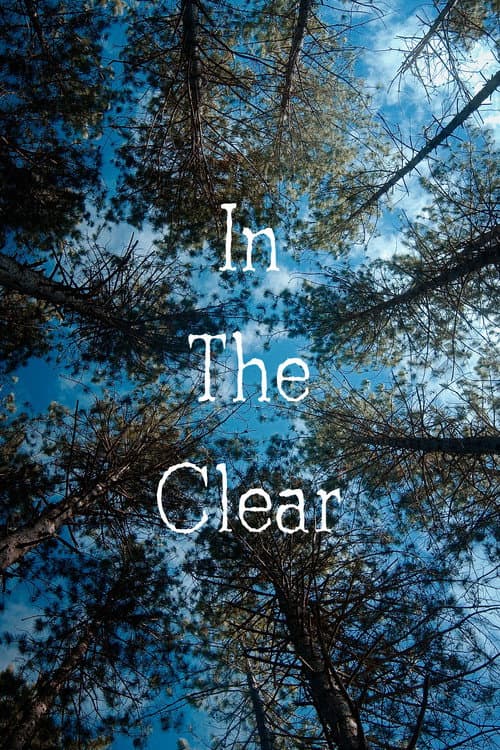 Постер: In the Clear