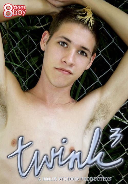 Постер: Twink 3