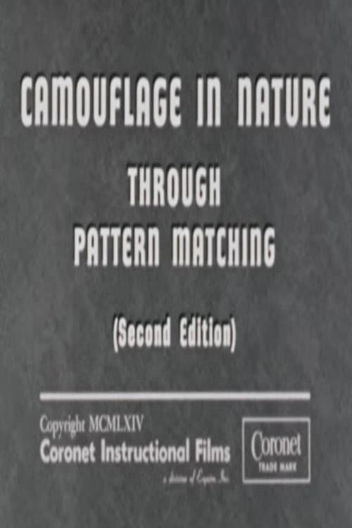 Постер: Camouflage In Nature: Through Pattern Matching (Second Edition)