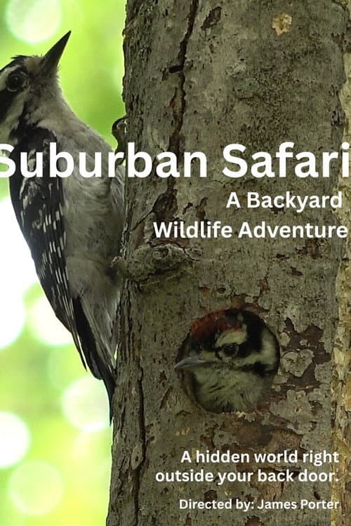 Постер: Suburban Safari: A Backyard Wildlife Adventure