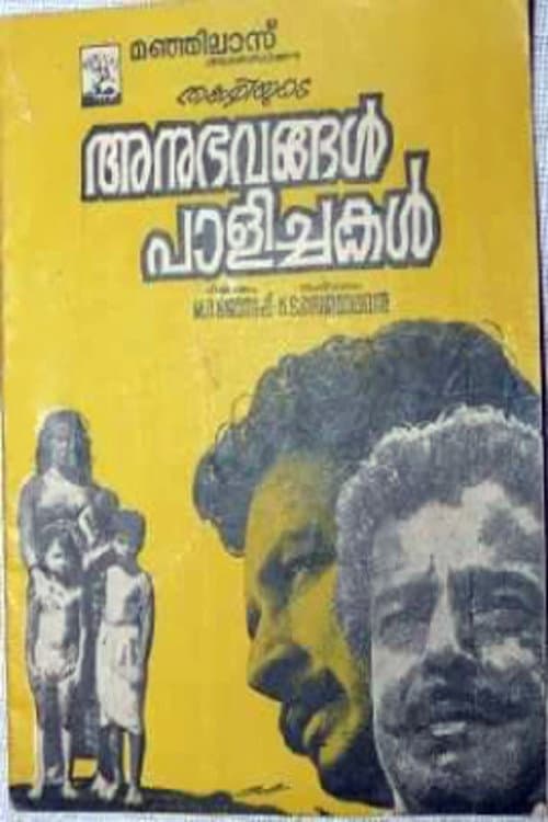 Постер: അനുഭവങ്ങൾ പാളിച്ചകൾ