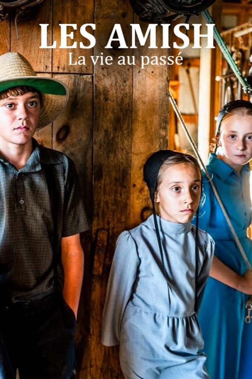 Постер: Das Leben der Amish