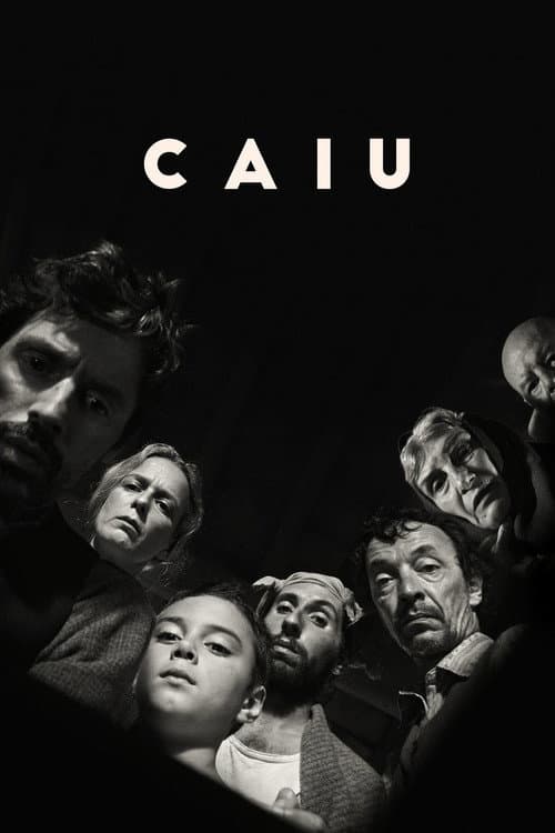 Постер: Caiu