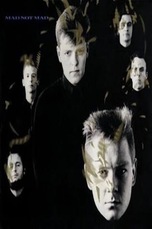 Постер: Madness: Mad Not Mad