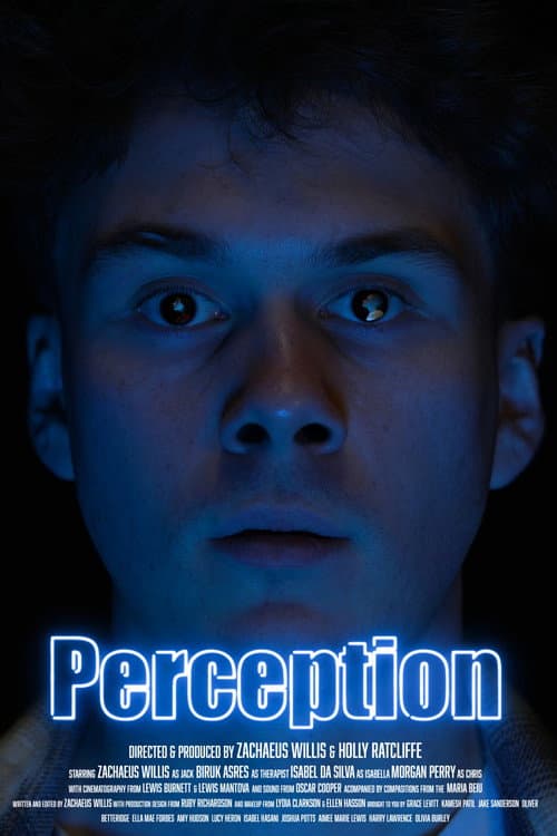 Постер: Perception