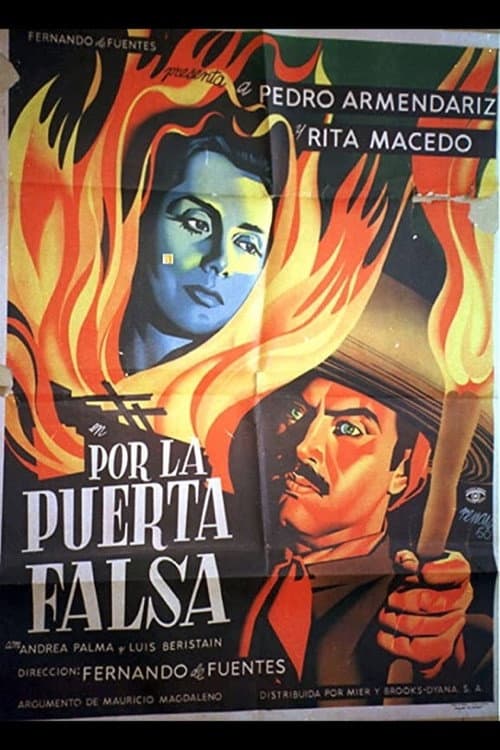 Постер: Por la puerta falsa