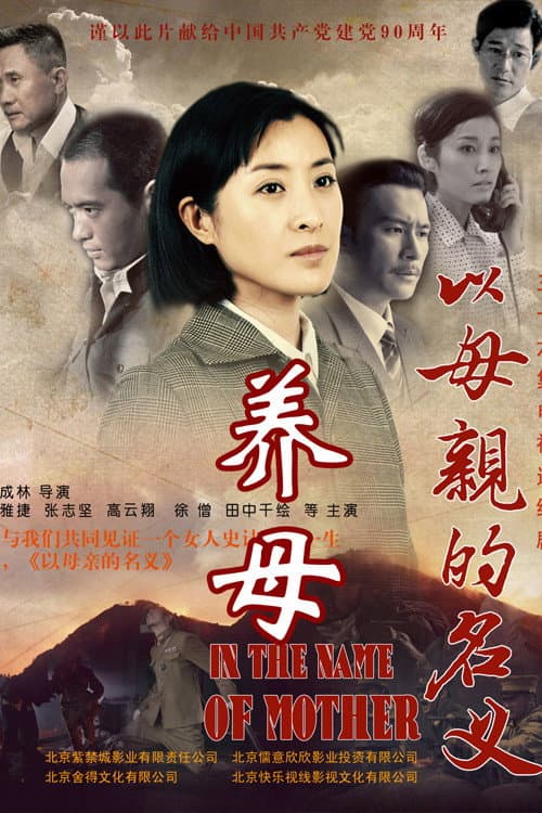 Постер: 养母
