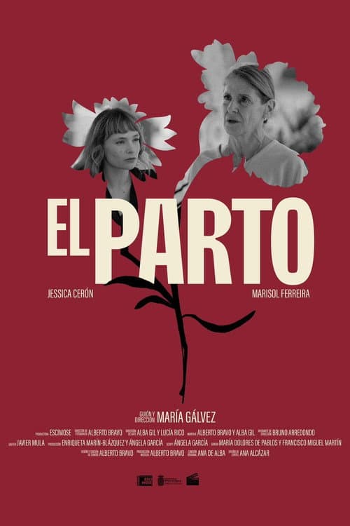 Постер: El Parto