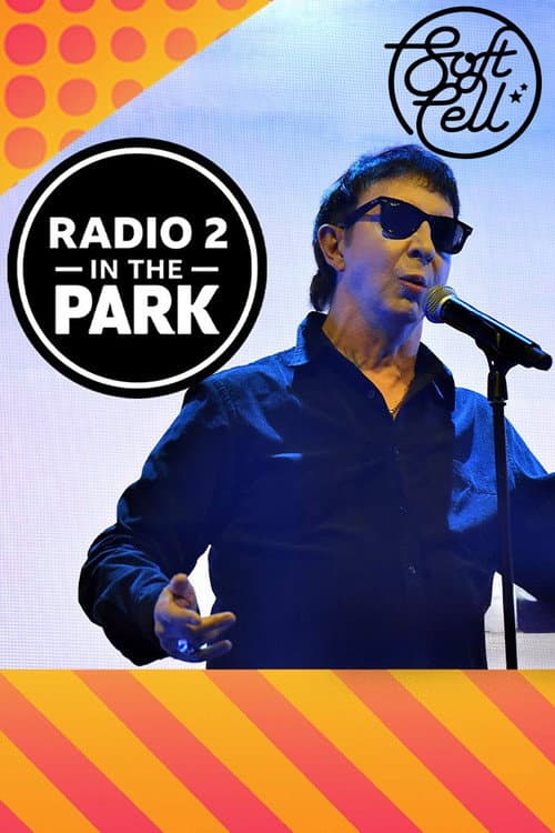 Постер: Soft Cell: Radio 2 in the Park