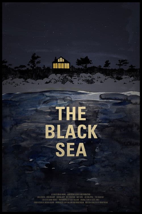Постер: The Black Sea