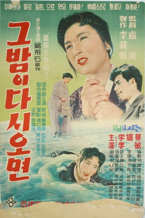 Постер: 그 밤이 다시 오면