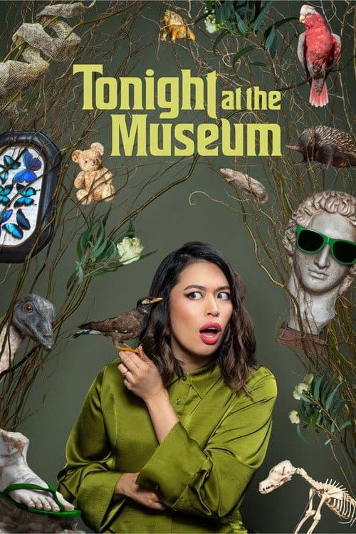 Постер: Tonight at the Museum