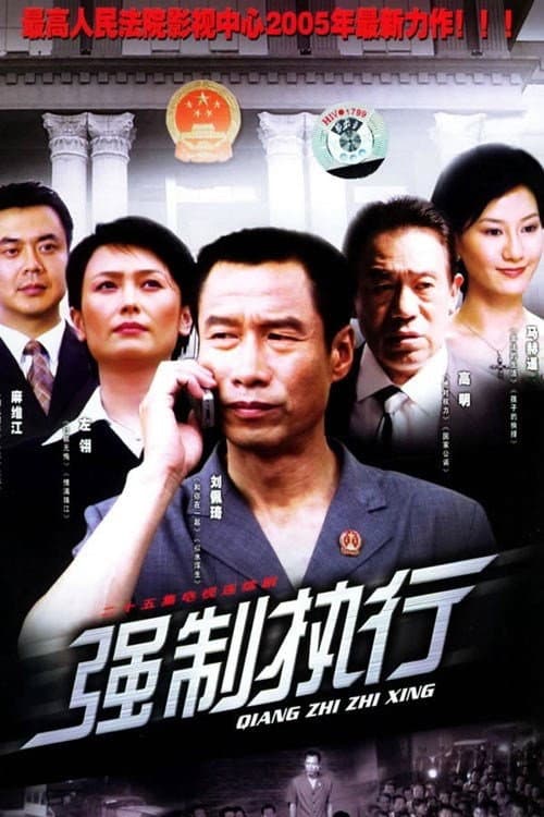 Постер: 强制执行