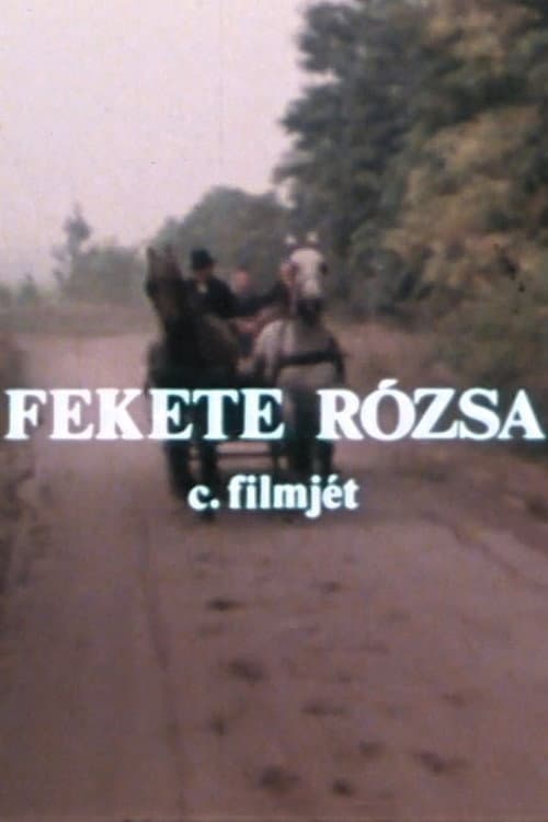Постер: Fekete rózsa
