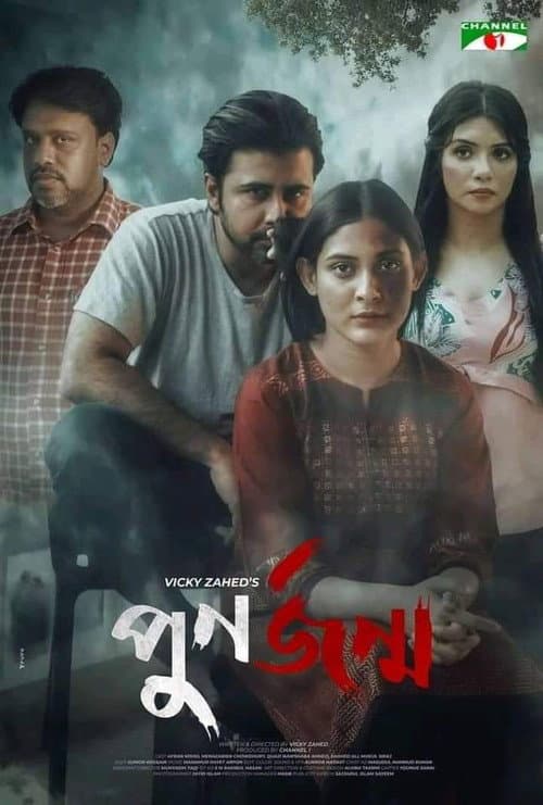 Постер: পুনর্জন্ম
