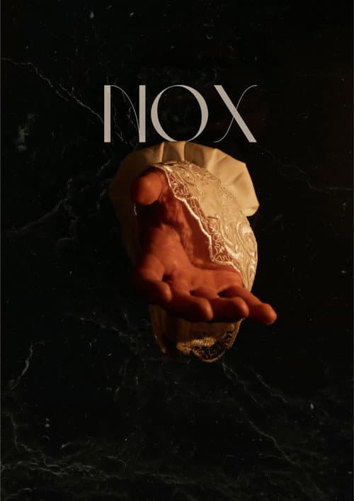 Постер: Nox