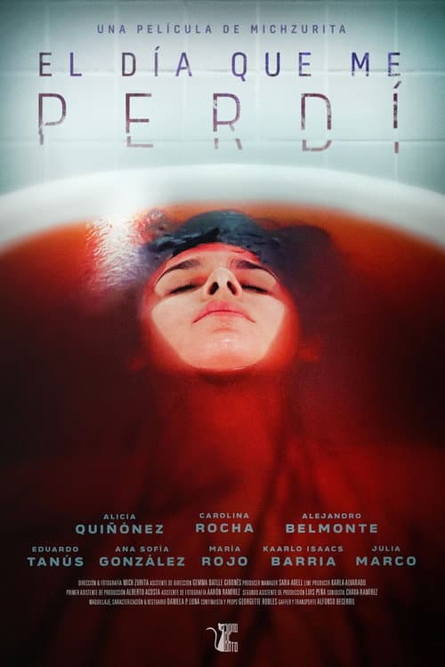 Постер: El día que me perdí
