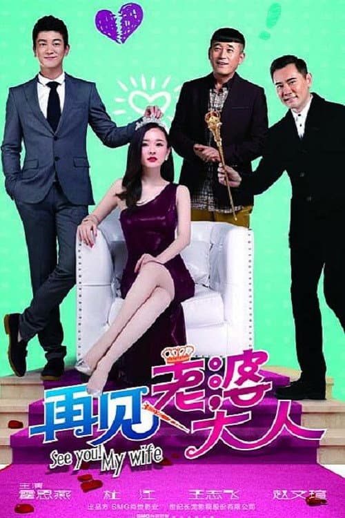 Постер: 再见老婆大人