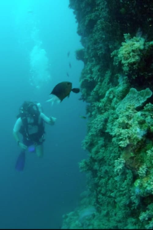 Постер: Wonders of the Great Barrier Reef with Iolo Williams