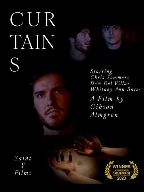 Постер: Curtains