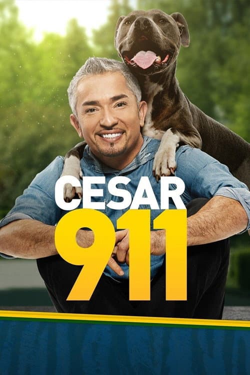 Постер: Cesar 911