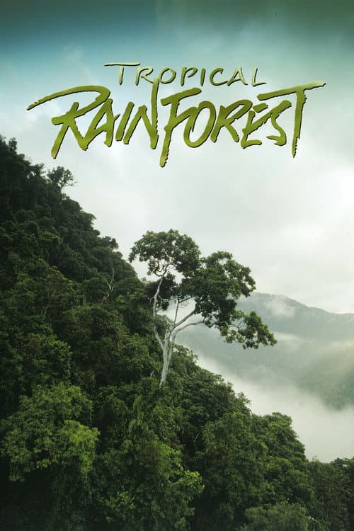 Постер: Tropical Rainforest