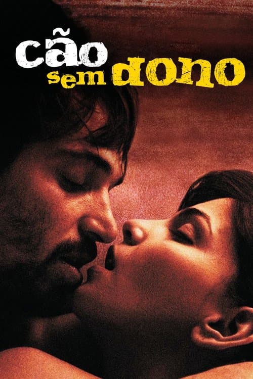 Постер: Cão Sem Dono