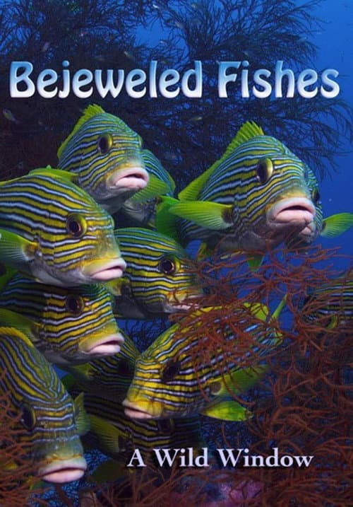 Постер: Wild Window: Bejeweled Fishes