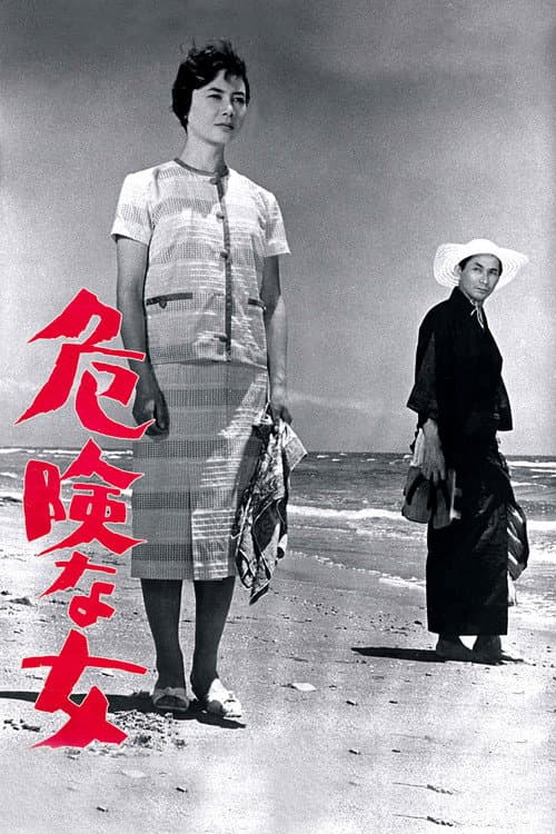 Постер: 危険な女
