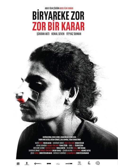 Постер: Biryareke Zor