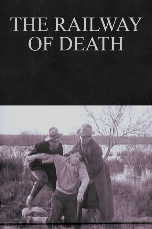 Постер: Le railway de la mort