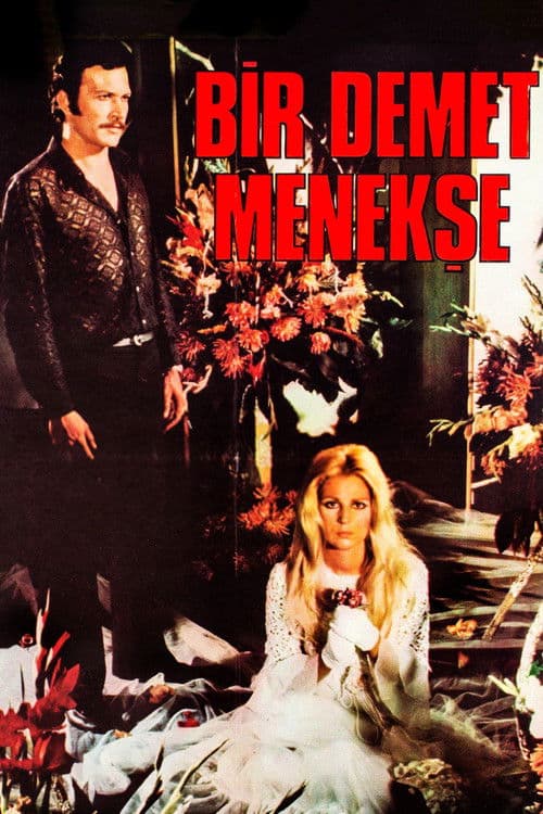 Постер: Bir Demet Menekşe