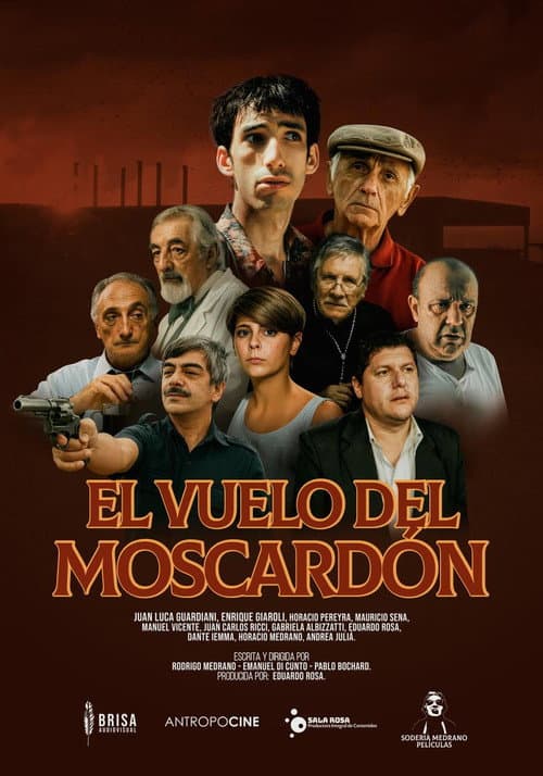 Постер: El vuelo del moscardón