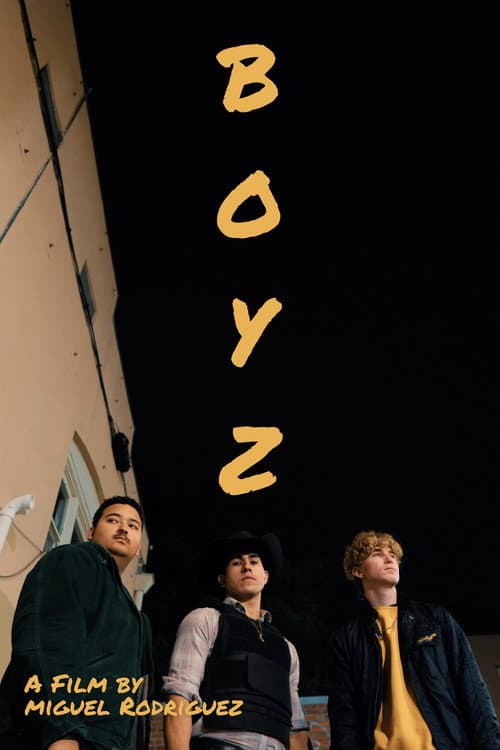 Постер: Boyz