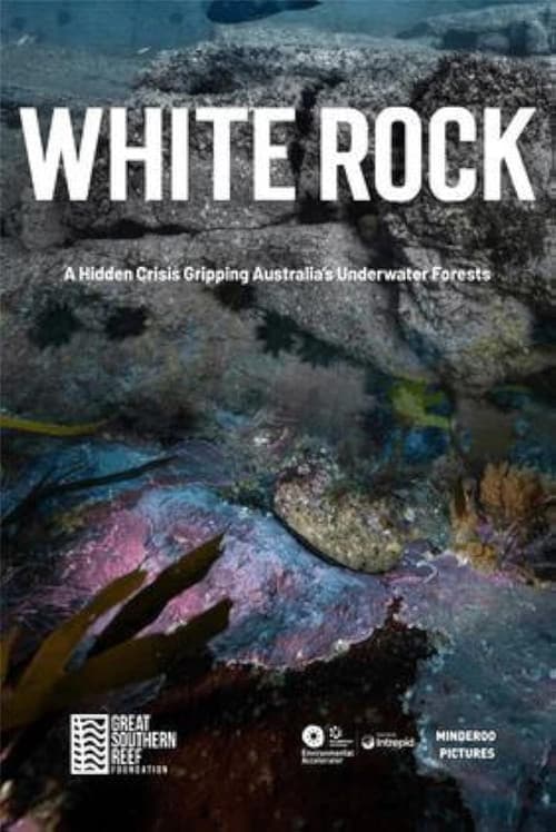 Постер: White Rock