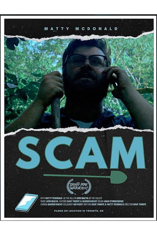 Постер: Scam