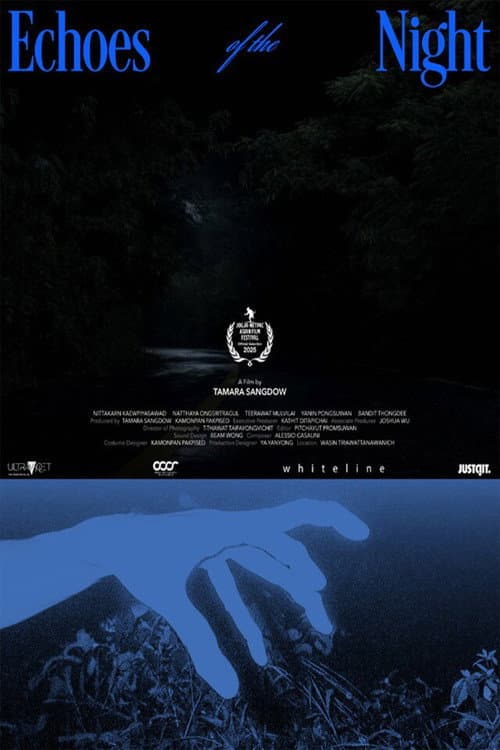Постер: Echoes of the Night