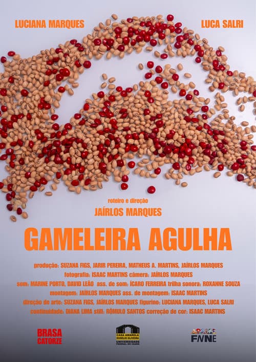 Постер: Gameleira Agulha