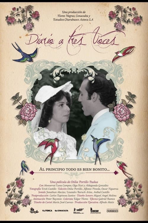 Постер: Diario a Tres Voces