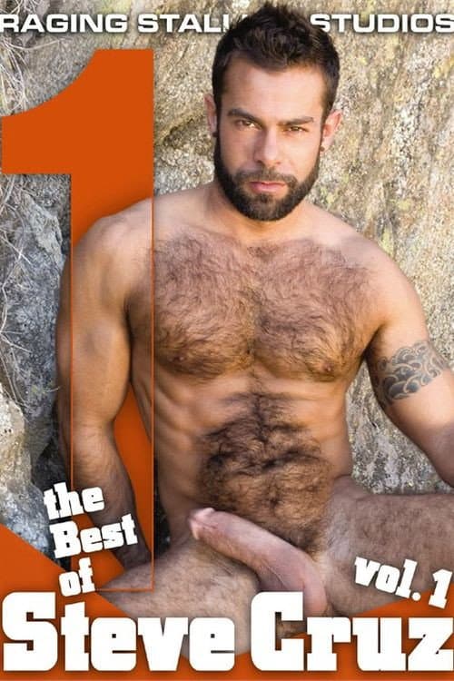 Постер: The Best of Steve Cruz