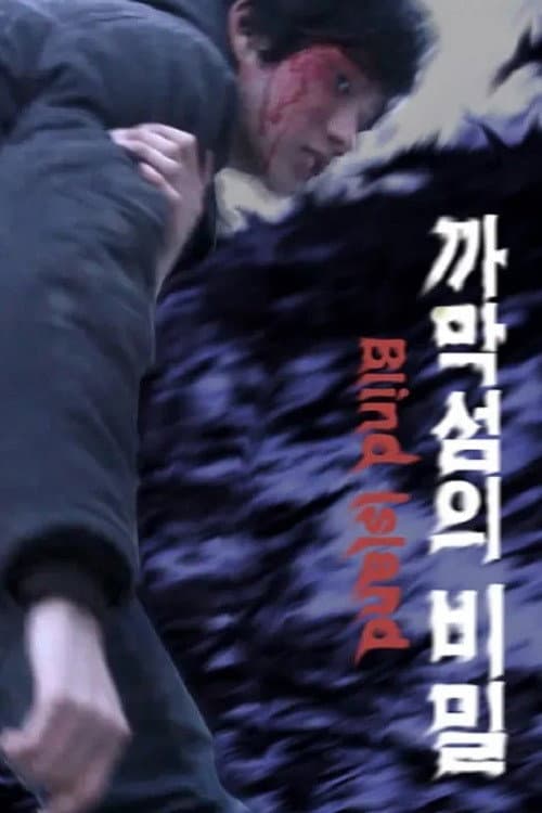 Постер: 까막섬의 비밀